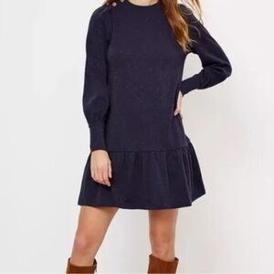 Loft Shimmer Navy Long Sleeve Dress